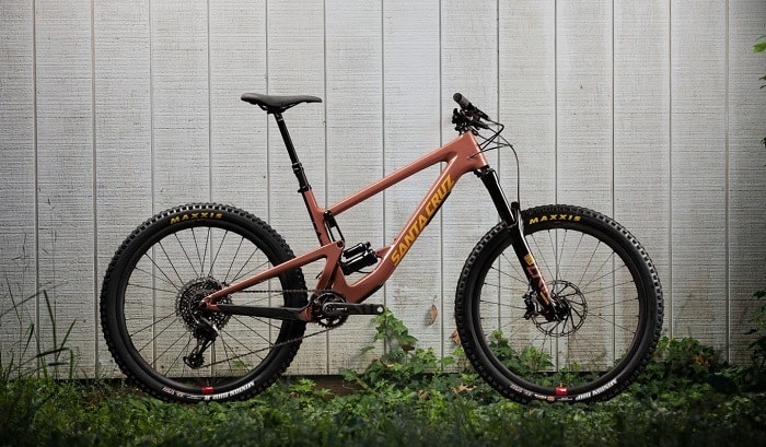 Santa Cruz Bronson