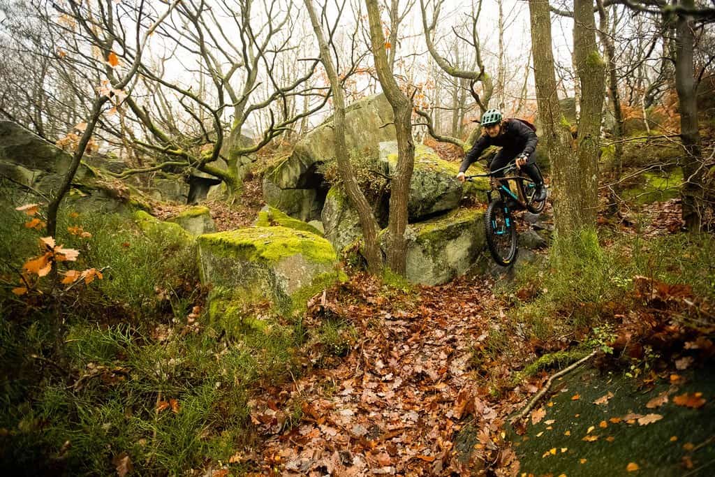 Santa Cruz Bicycles Carbon Chameleon