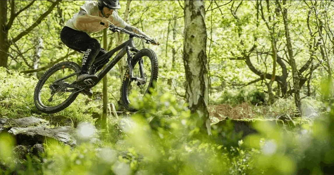 type compare for Santa Cruz 5010 vs Bronson