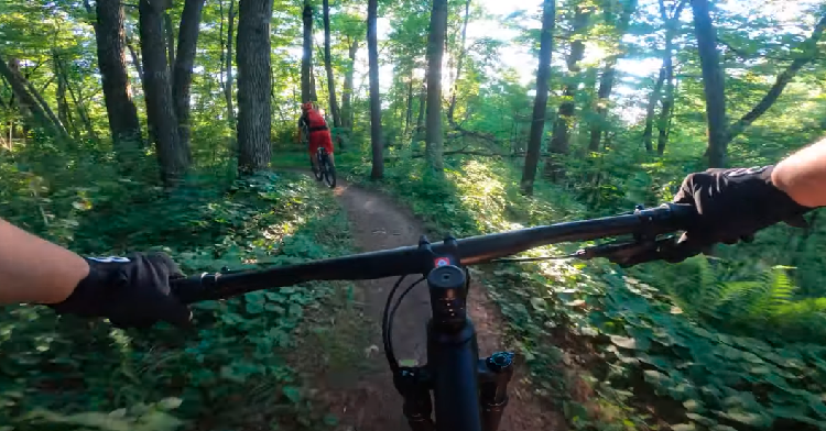 Lowes Creek County Park