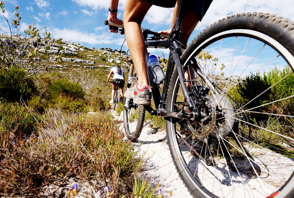 Top Mountain Bike Trails in Arizona