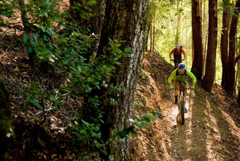 Top Wisconsin Mountain Bike Trails
